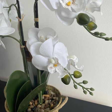 Cozy Flat 15 Mins From City Centre With Parking Leilighet Cardiff Eksteriør bilde