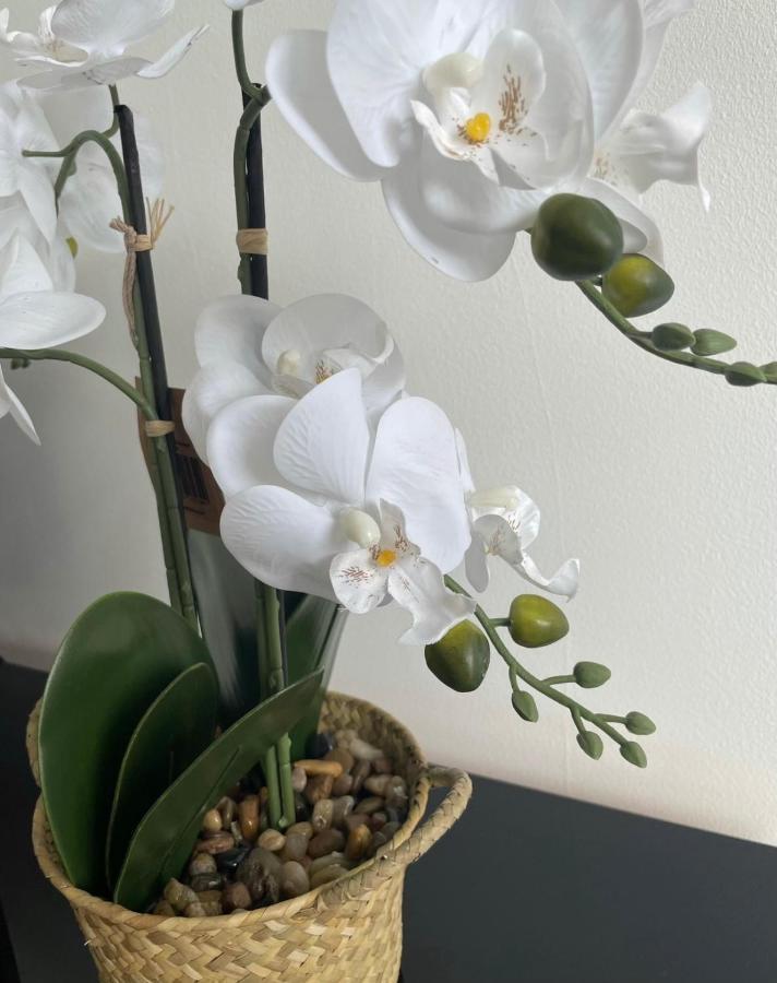 Cozy Flat 15 Mins From City Centre With Parking Leilighet Cardiff Eksteriør bilde